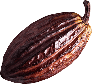 left-cacao