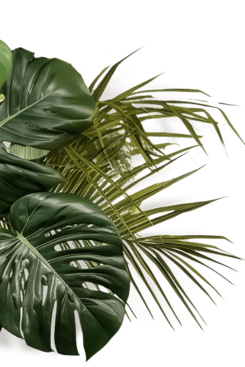 left-leaf